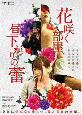 达达兔神马影院 肖申克的救赎